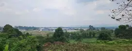 Dijual Murah Tanah Kosong Luas 1 Hektar di Bogor