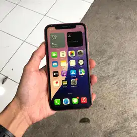 Iphone Xr 64gb Murah