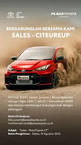 MARKETING EXECUTIVE - PLAZA TOYOTA CITEUREUP