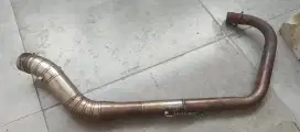 Leheran sett tiger