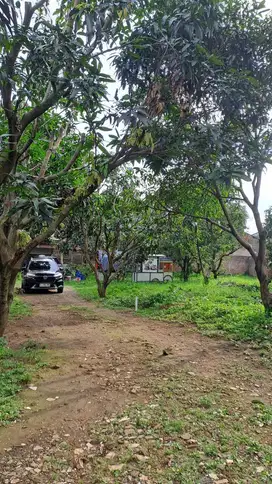 Tanah Kavling murah Di Rancabolang Margahayu kota Bandung