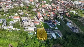 Land Ricefield and Los River Bonus Villa Padonan Canggu Bali