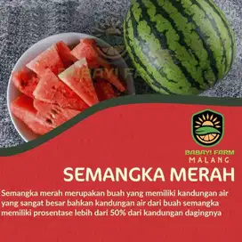 Buah semangka merah biji lokal kiloan