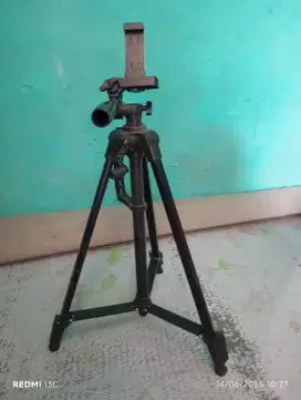 D jual mangga yang lagi butuh