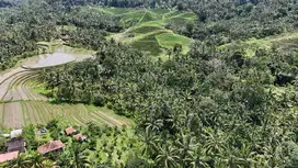 Di jual tanah zona kuning murah di tabanan