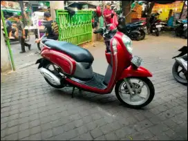 Honda Scoopy 110cc Pajak Hidup Tahun 2016
