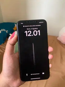 iPhone 11 promax 256 gb