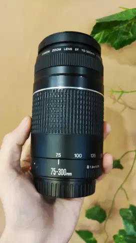 Lensa Tele Canon EF 75-300mm F4 III