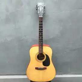 Gitar Cort AD810E OP Original