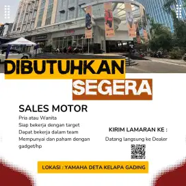 Marketing motor