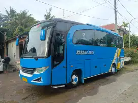 Bus Medium Adiputro NQR 35 Seat