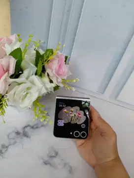 Samsung Z Flip 6