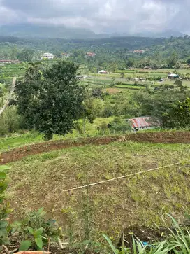 Tanah View Bukit, Gunung di Baturiti Bedugul Bali