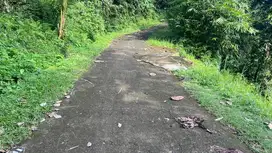 Di jual tanah los sungai view jungle cocok untuk villa di tabanan