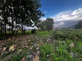 JUAL TANAH PEKARANGAN DI SLAWI