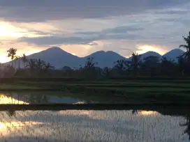 Dijual Tanah Premium di Ubud – View Sawah & Gunung