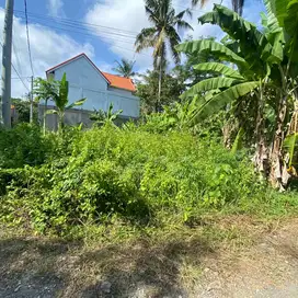 Dijual Tanah di lingkungan villa Jl. Lodtunduh, Ubud, Gianyar, Bali.