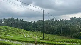 Di jual tanah view sawah zona kuning cocok untuk villa atau hunian
