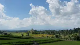 Di jual tanah luasan kecil dengan pemadangan sawah dan gunung