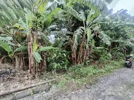 Tanah Los Sungai 1,5 are di Dalung