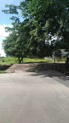 JUAL TANAH KOMERSIAL SEGITIGA EMAS CIPUTAT TANGERANG SELATAN (NEGO)