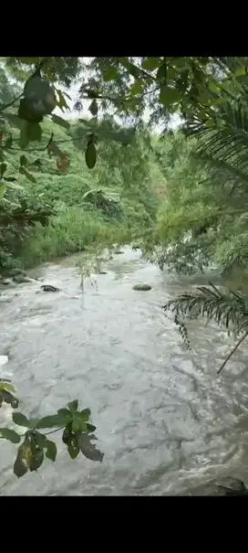 Tanah Murah di Semana Langsung Sungai Ayung