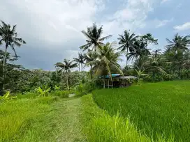 Dijual tanah pejeng ubud view sawah