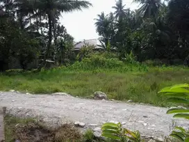 Tanah SHM Strategis Untuk Perumahan Di Batang Anai
