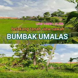 Fofr Sale Tanah-Bumbak Canggu