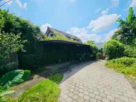 Tanah view sawah dalung bali