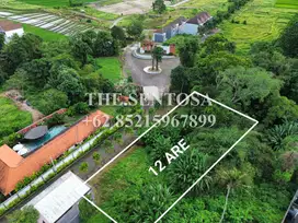 LAND FOR LEASE KEDUNGU (TANAH SEWA)