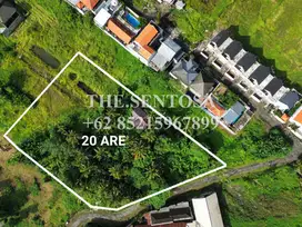 LAND FOR LEASE (TANAH SEWA) NYANYI LUNA BEACH CLUB