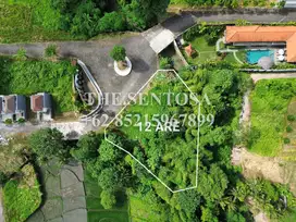 LAND FOR LEASE KEDUNGU RIVER FRONT (TANAH SEWA)
