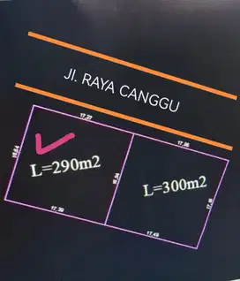 Dijual Tanah 2,90 are di Jalan Raya Utama Canggu