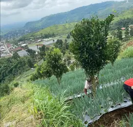 Tanah pekarangan Area wisata kemuning karanganyar view terbaik