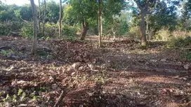 Tanah murah dilingkungan Universitas Udayana,Jimbara