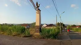 Tanah sawah di JUAL