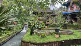 Di jual tanah sudah ada bangunan zona kuning BUC di tabanan