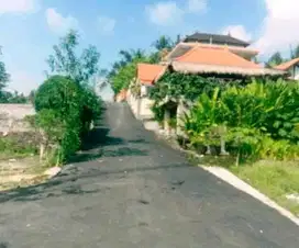 SALE!! TNH 1,42 ARE DKT GREEN SCHOOL SIBANG KAJE BADUNG