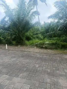 Tanah view air terjun