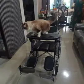 Kursi roda 3 in 1