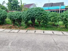 Dijual tanah dekat pemda Karawang