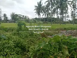 Dijual Tanah Murah Luas 500 m2 Kawasan Villa di Ubud
