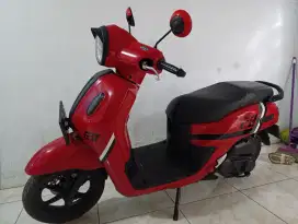 Fazzio Neo 2022