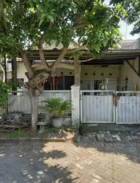 Wiguna Murah dekat Rungkut gunung anyar