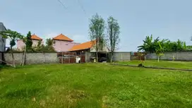 Jual Harga Global Luas 5.5are/550m2 ( 2SHM) di Sanur Area investasi