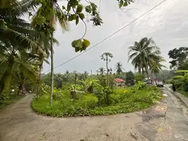JUAL TANAH DI BANYUROTO NANGGULAN KULONPROGO