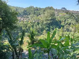 Di jual tanah kebun produktif view sawah , gunung dan lembah