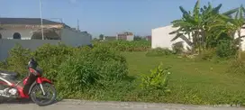 Tanah Bagus di jl. Magelang Dalam Ringroad Dekat TVRI, UGM, Malioboro