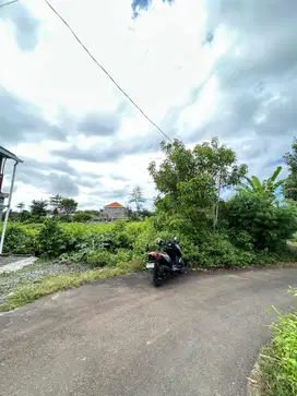 Tanah Kavling Strategis Di Kutuh - Kuta Selatan, Dekat GWK Dan Kampus